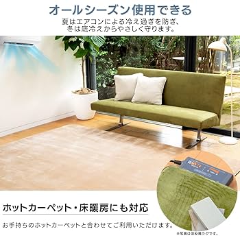 Amazon｜アイリスプラザ ラグ カーペット 高反発 防音 すべり